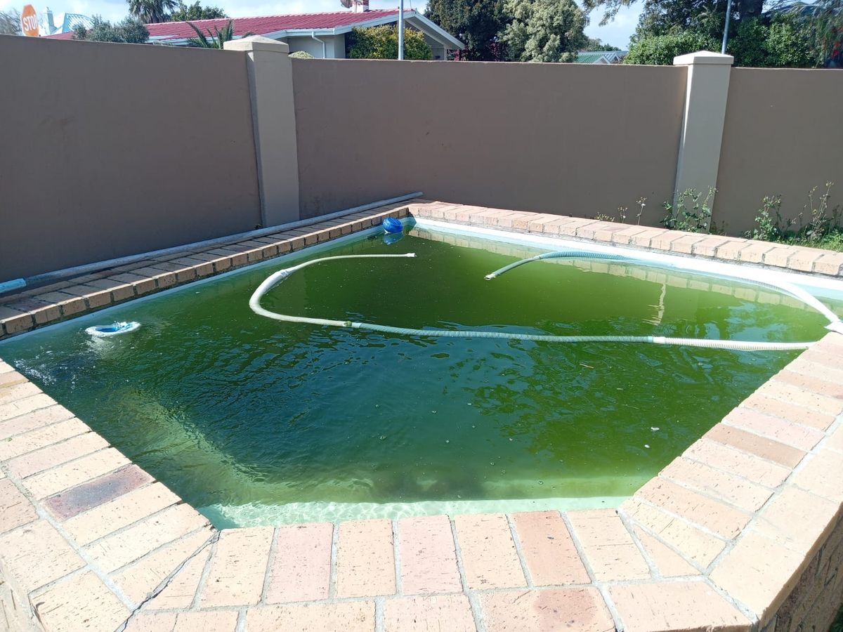 Neglected pool with green algae water before renovation